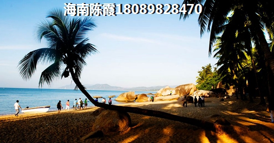 琼中的房子还能买吗~